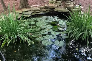 8507 Leslie Ct, Fredericksburg, VA 22407 - Photo 42