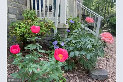 8507 Leslie Court, Fredericksburg, VA 22407 - Photo 38