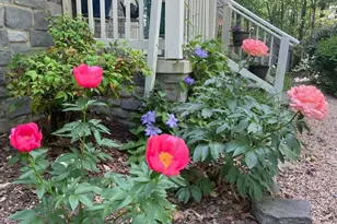 8507 Leslie Ct, Fredericksburg, VA 22407 - Photo 38