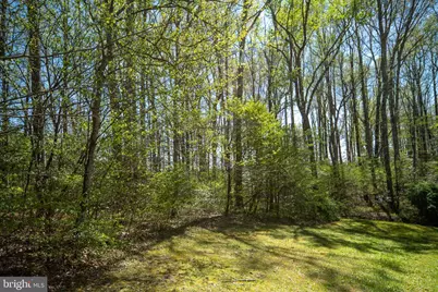 6628 Partlow Road, Spotsylvania, VA 22551 - Photo 56