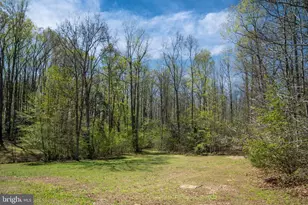 6628 Partlow Rd, Spotsylvania, VA 22551 - Photo 54