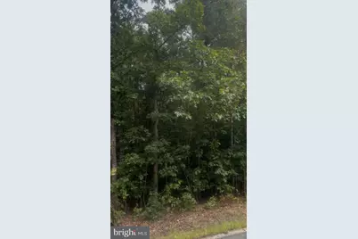 Log Cabin, Beaverdam, VA 23015 - Photo 4