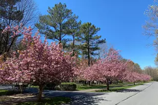 11608 Longstreet Dr, Spotsylvania, VA 22551 - Photo 44