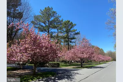11608 Longstreet Drive, Spotsylvania, VA 22551 - Photo 42