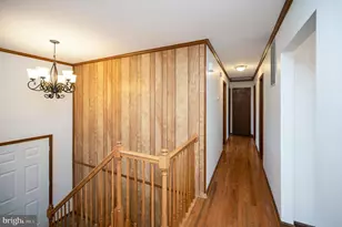 713 Shamrock Dr, Fredericksburg, VA 22407 - Photo 22