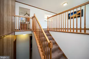 713 Shamrock Dr, Fredericksburg, VA 22407 - Photo 16