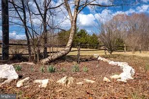 5527 Smith Station Rd, Fredericksburg, VA 22407 - Photo 10