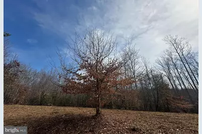 14928 Dovey Road, Spotsylvania, VA 22551 - Photo 12