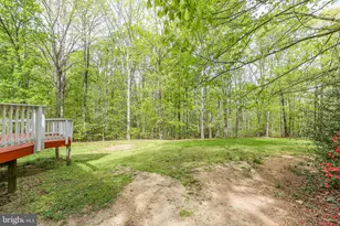 2933 Patriot Ln, Fredericksburg, VA 22408 - Photo 56