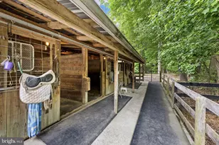 5 Appaloosa Dr, Spotsylvania, VA 22551 - Photo 24