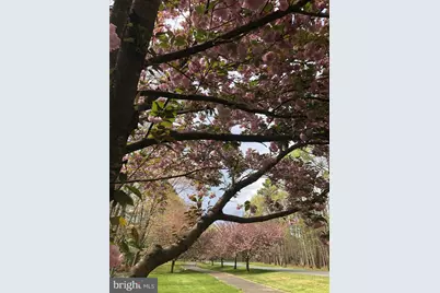 11612 Longstreet Drive, Spotsylvania, VA 22551 - Photo 32