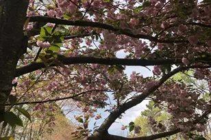 11612 Longstreet Dr, Spotsylvania, VA 22551 - Photo 32