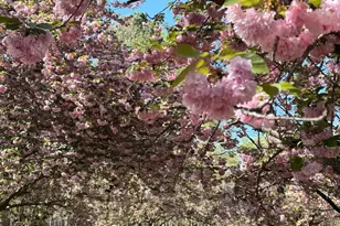 11612 Longstreet Dr, Spotsylvania, VA 22551 - Photo 34