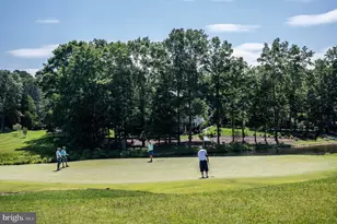 11004 Sheridan Dr, Spotsylvania, VA 22551 - Photo 134