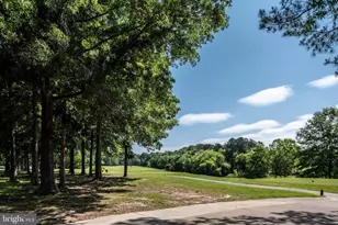 11004 Sheridan Dr, Spotsylvania, VA 22551 - Photo 128