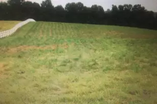 6713 Sunrise Bay Dr, Mineral, VA 23117 - Photo 4