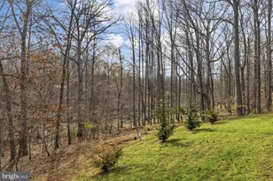 15501 Wynd Ct, Mineral, VA 23117 - Photo 60