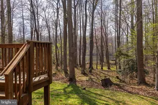 10910 Cinnamon Teal Dr, Spotsylvania, VA 22553 - Photo 40