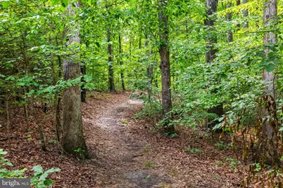 10910 Cinnamon Teal Drive, Spotsylvania, VA 22553 - Photo 6