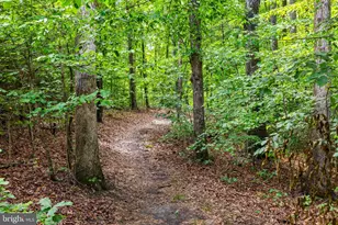 10910 Cinnamon Teal Dr, Spotsylvania, VA 22553 - Photo 6