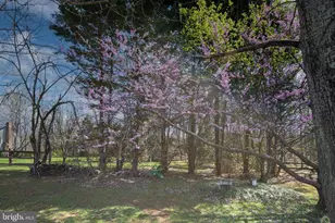 10752 Bridlerein Ct, Spotsylvania, VA 22553 - Photo 56
