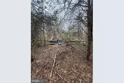 5300 Hams Ford Road, Woodford, VA 22580 - Photo 8