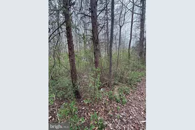 5300 Hams Ford Road, Woodford, VA 22580 - Photo 12