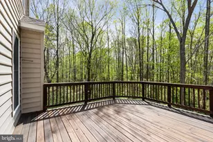 6712 Castleton Dr, Fredericksburg, VA 22407 - Photo 54