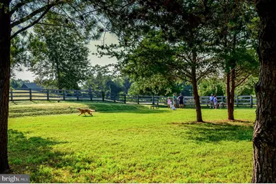 11517 Osprey Trail, Spotsylvania, VA 22551 - Photo 56