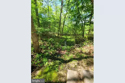 6000 Haleys Mill Road, Spotsylvania, VA 22551 - Photo 70