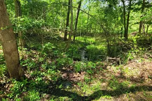6000 Haleys Mill Rd, Spotsylvania, VA 22551 - Photo 78
