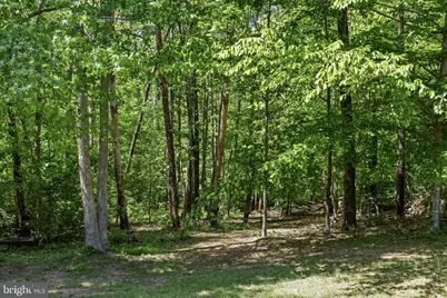 228 Morgan, Spotsylvania, VA 22553 - Photo 32