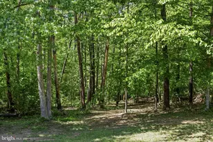 228 Morgan, Spotsylvania, VA 22553 - Photo 32