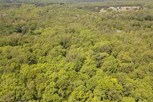 8030 Singing Wood Ln, Spotsylvania, VA 22553 - Photo 88