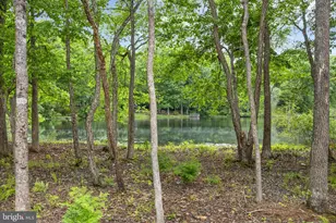 11510 Macfaden Dr, Spotsylvania, VA 22551 - Photo 58
