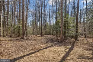 7309 Red Feather Ln, Spotsylvania, VA 22551 - Photo 36