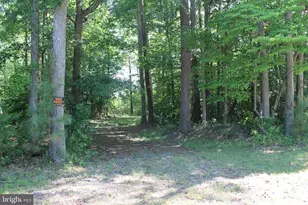6019 and 6031 Hickory Ridge Rd, Spotsylvania, VA 22551 - Photo 28