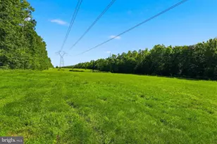 12925 Orange Plank, Locust Grove, VA 22508 - Photo 44