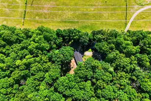12925 Orange Plank, Locust Grove, VA 22508 - Photo 6