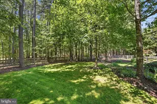 10702 Cedar Creek Dr, Spotsylvania, VA 22551 - Photo 54