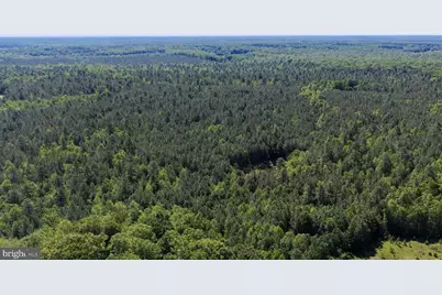 Deerwood Lane, Spotsylvania, VA 22553 - Photo 36