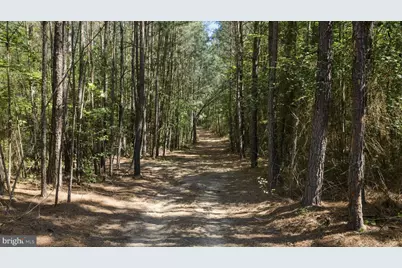 Deerwood Lane, Spotsylvania, VA 22553 - Photo 22