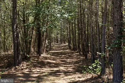 Deerwood Lane, Spotsylvania, VA 22553 - Photo 4