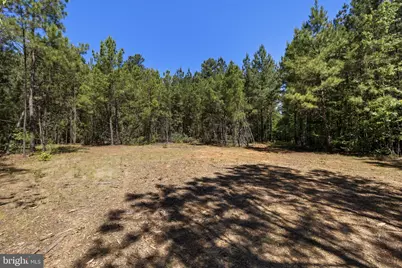 Deerwood Lane, Spotsylvania, VA 22553 - Photo 16