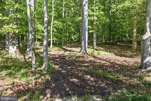 12129 Sawhill Blvd, Spotsylvania, VA 22553 - Photo 46