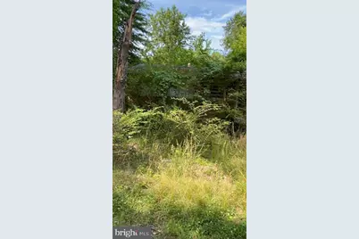 10528 Coles Lane, Fredericksburg, VA 22408 - Photo 2