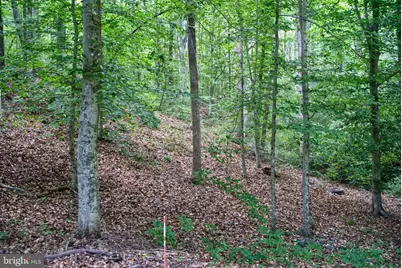 47 Waucoma Trl, Spotsylvania, VA 22551 - Photo 64