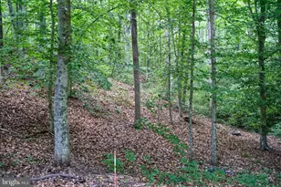 47 Waucoma Trail, Spotsylvania, VA 22551 - Photo 64