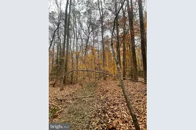 8704 Millwood Drive, Spotsylvania, VA 22551 - Photo 12