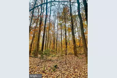 8704 Millwood Drive, Spotsylvania, VA 22551 - Photo 8